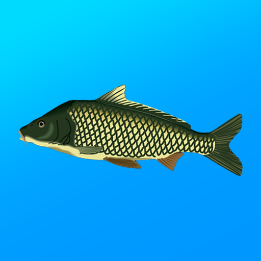 download-true-fishing-fishing-simulator.webp