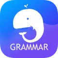 English Grammar: Learn & Test Mod Apk 3.0 (Unlocked)(Premium)