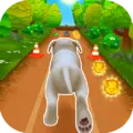 Pet Run – Puppy Dog Game Mod Apk 1.11.0 (Unlimited money)(Unlocked)