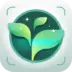 download-plant-id-plant-identification.webp
