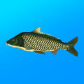 True Fishing. Simulator MOD apk  v1.16.0.749